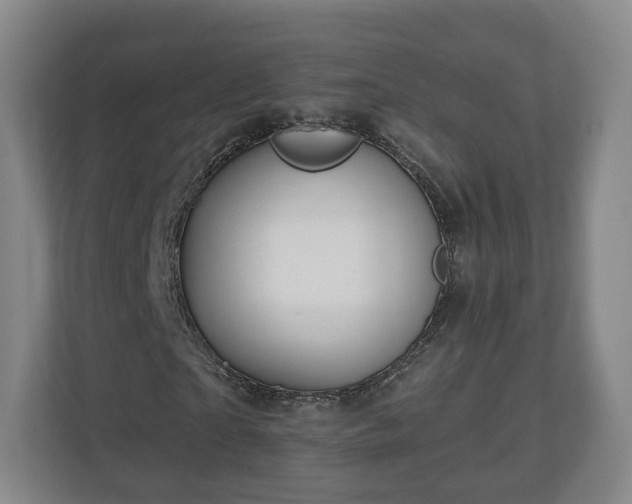 X0000111200865200907081240