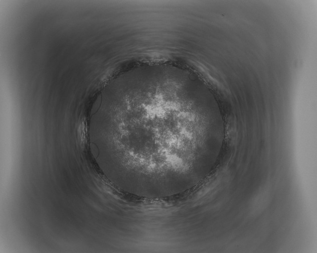 X0000111200866200907081240