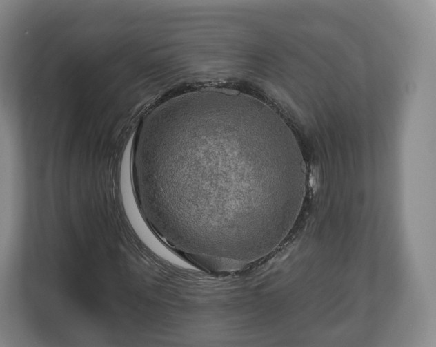 X0000111200867200907081240