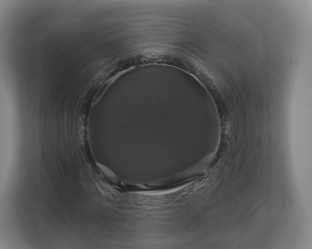 X0000111200868200907081240