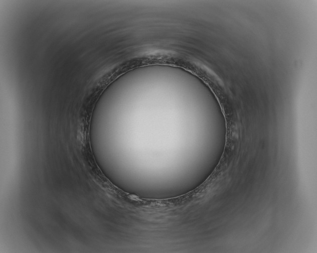 X0000111200869200907081240