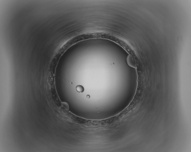 X0000111200871200907081240