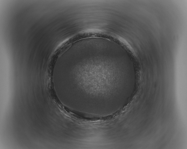 X0000111200872200907081240