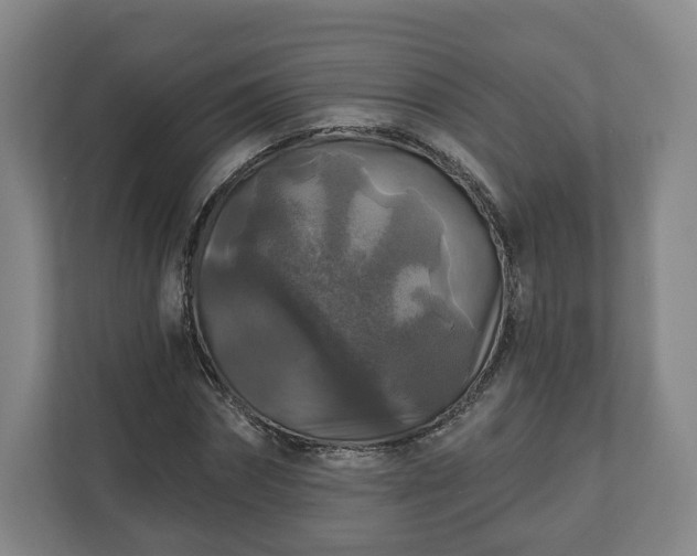 X0000111200874200907081240