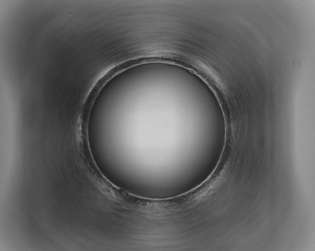 X0000111200875200907081240