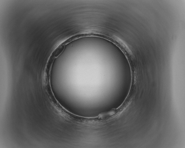 X0000111200876200907081239