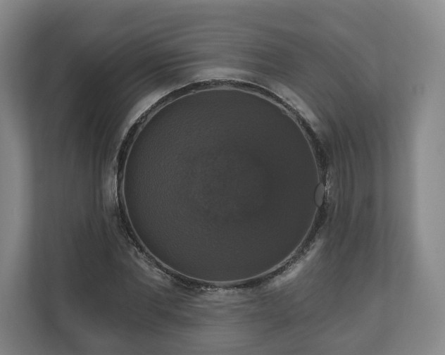 X0000111200877200907081239