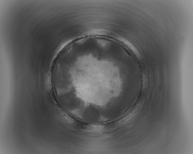 X0000111200878200907081239