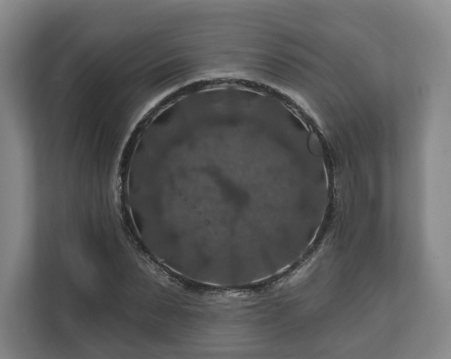 X0000111200879200907081239