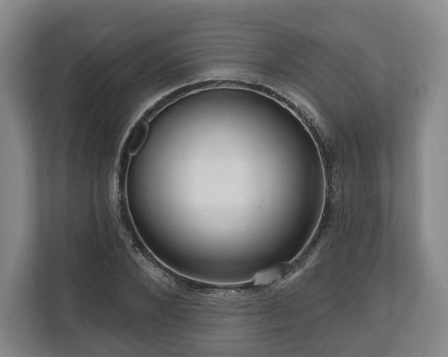 X0000111200880200907081239