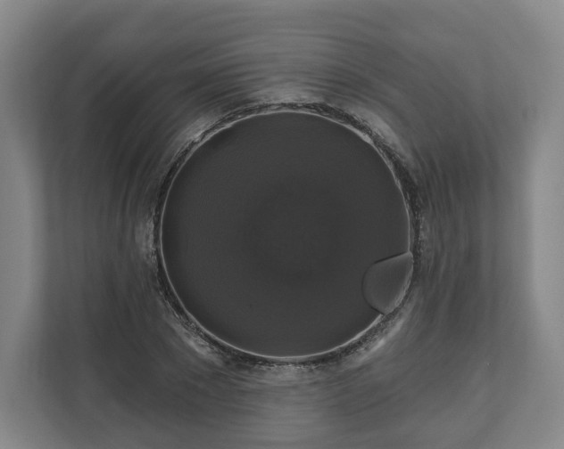 X0000111200881200907081239