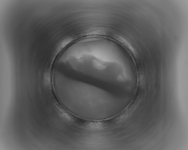 X0000111200882200907081239