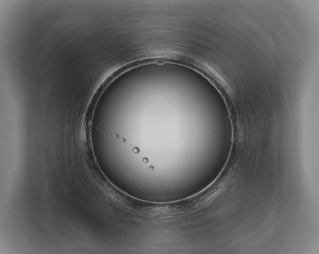 X0000111200883200907081239