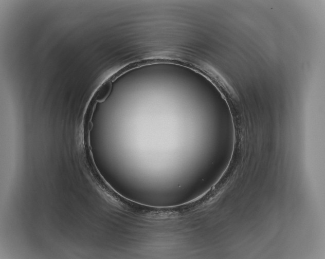 X0000111200884200907081239