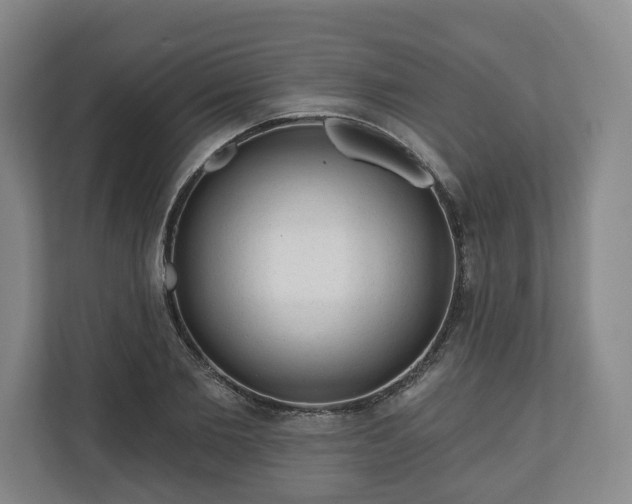 X0000111200885200907081239