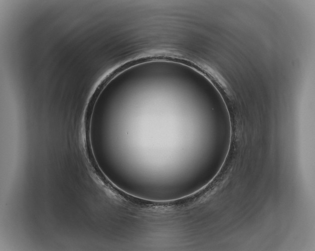 X0000111200888200907081239