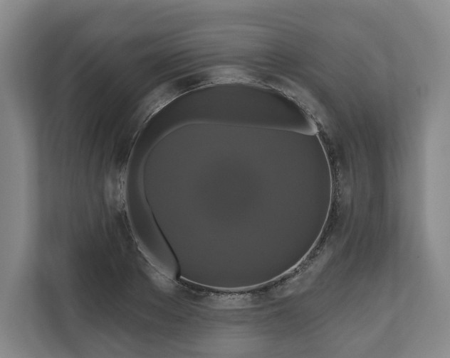 X0000111200889200907081239