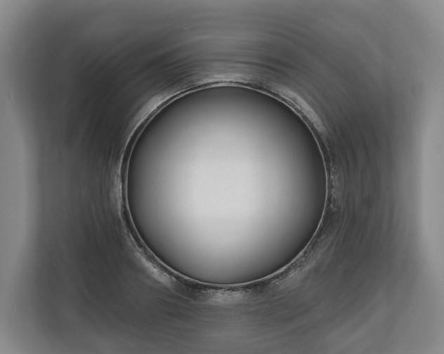 X0000111200890200907081239