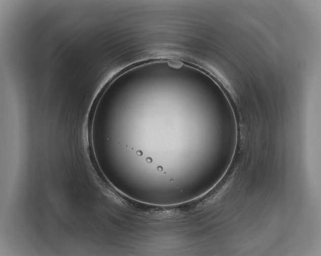 X0000111200891200907081239