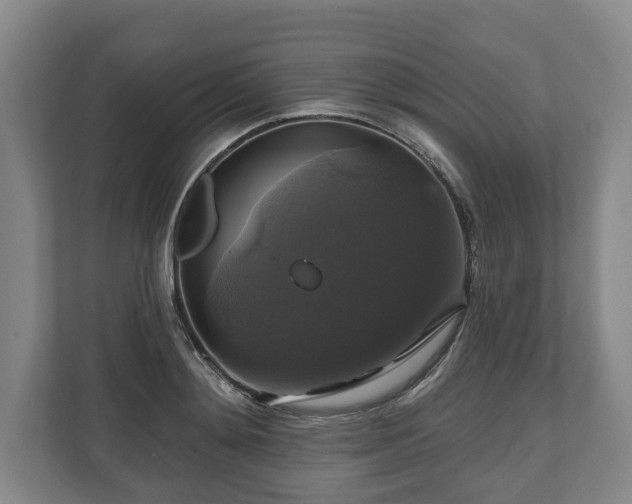 X0000111200892200907081239