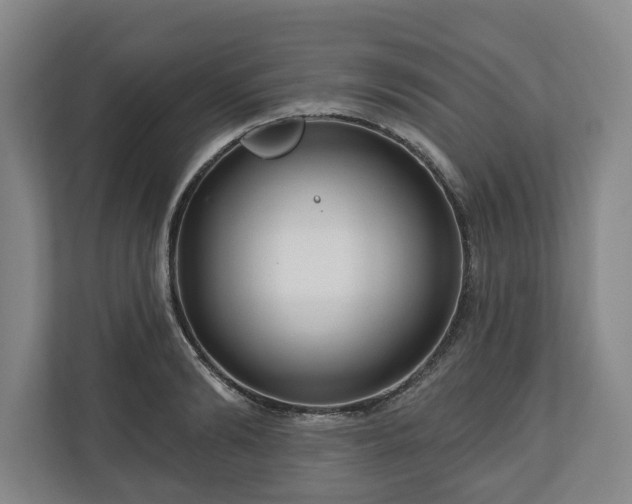 X0000111200894200907081239