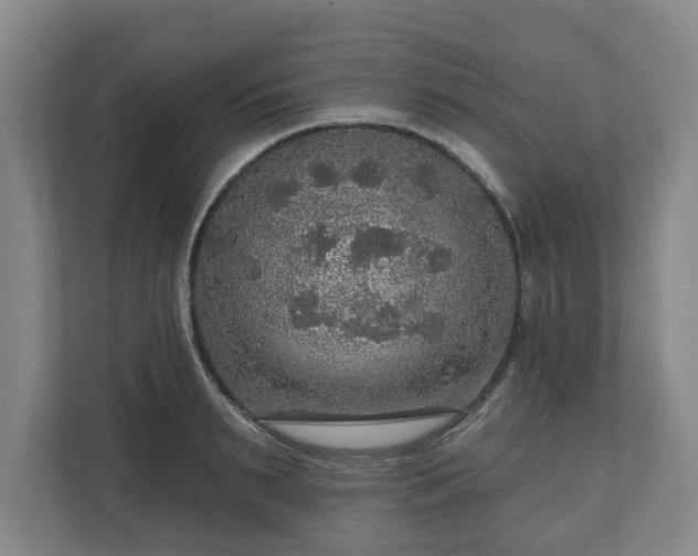 X0000111200895200907081239