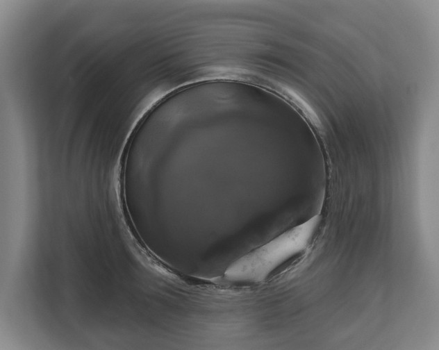 X0000111200899200907081239