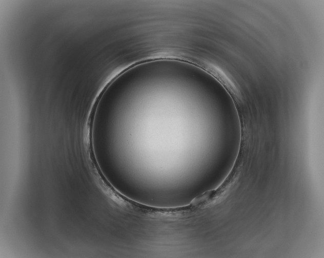 X0000111200900200907081239