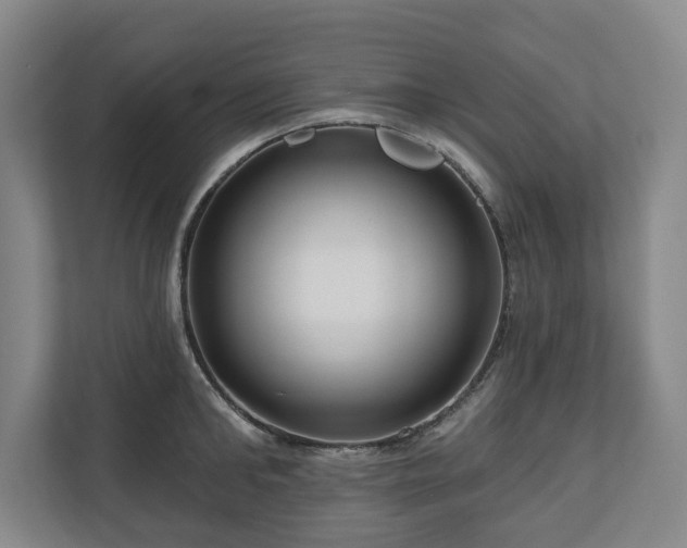 X0000111200902200907081239