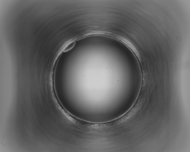 X0000111200906200907081239