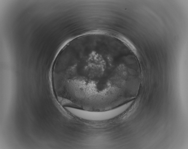 X0000111200907200907081239