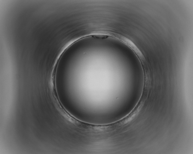 X0000111200908200907081239