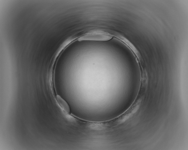 X0000111200909200907081239