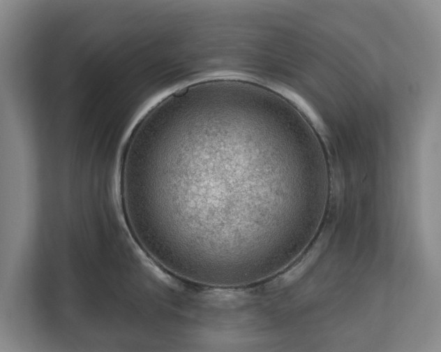 X0000111200910200907081239