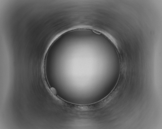 X0000111200911200907081239