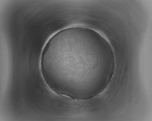 X0000111200912200907081239