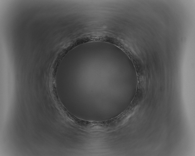 X0000111200913200907081238