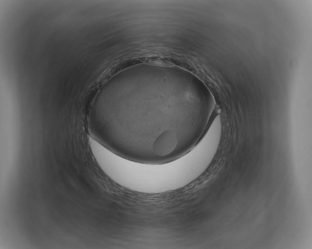 X0000111200916200907081238