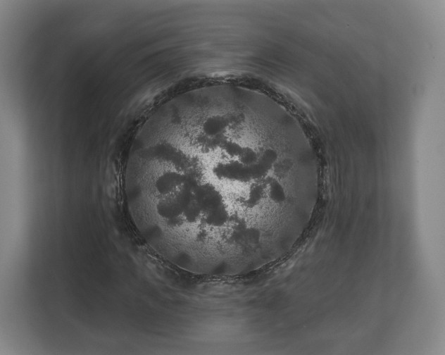 X0000111200917200907081238