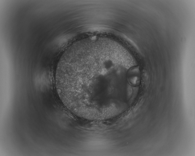 X0000111200918200907081238