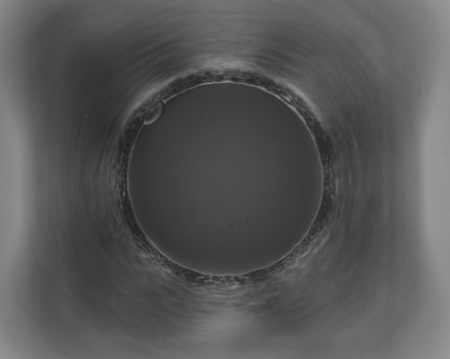 X0000111200919200907081238