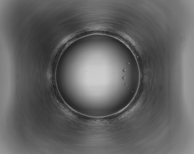 X0000111200922200907081239