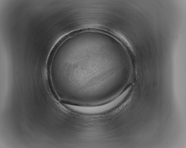 X0000111200924200907081239