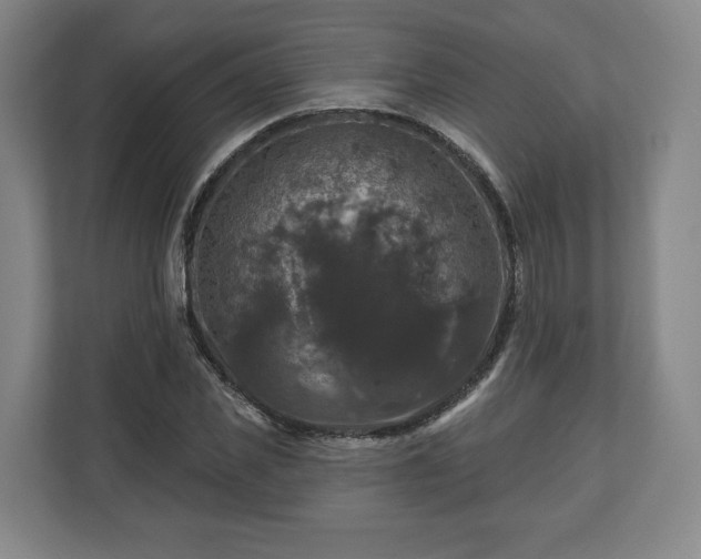 X0000111200925200907081239