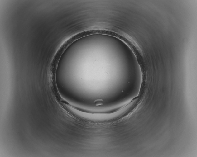 X0000111200926200907081239