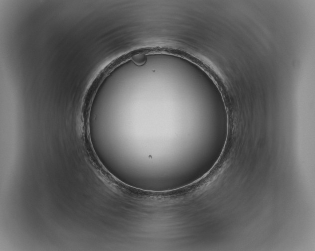 X0000111200927200907081239