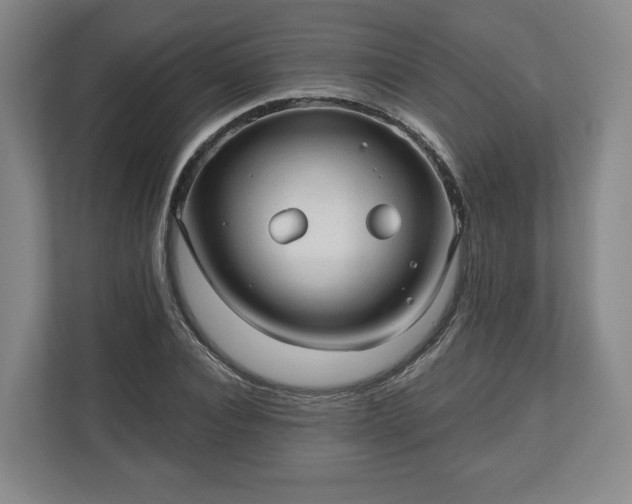 X0000111200928200907081239