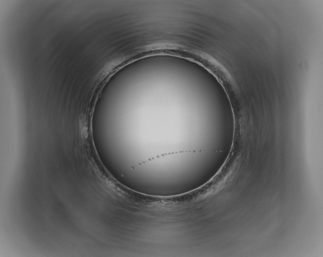 X0000111200929200907081239