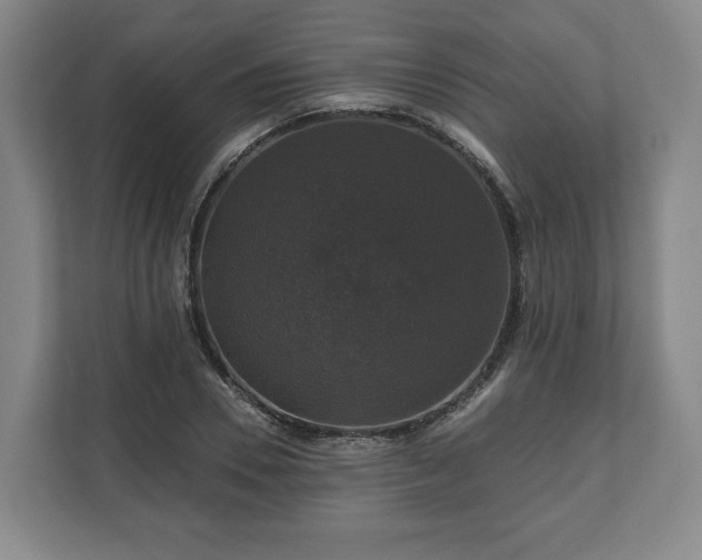 X0000111200930200907081239