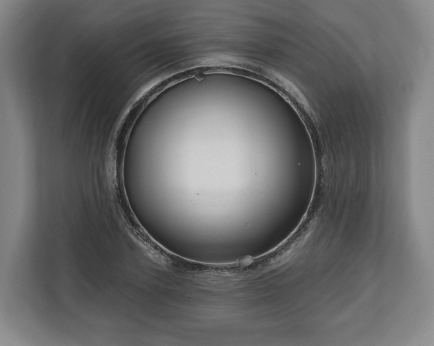 X0000111200931200907081239